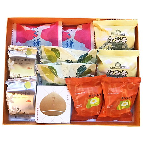 初冬あじなむさし野<2号>