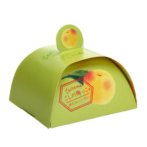 pkg-kosinoumekko.jpg